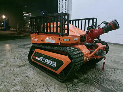 美女的隐藏部位是什么图片