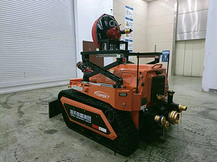 美女的隐藏部位是什么图片