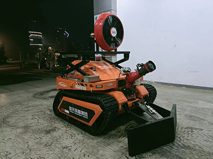 美女的隐藏部位是什么图片