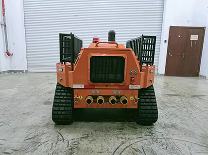 美女的隐藏部位是什么图片