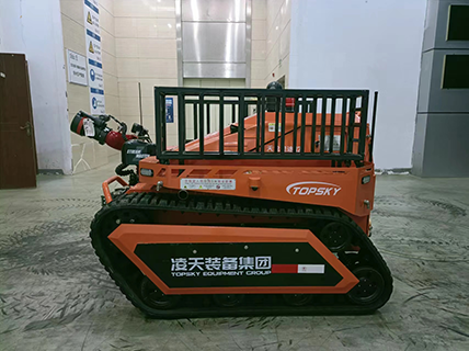 美女的隐藏部位是什么图片