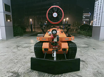 美女的隐藏部位是什么图片