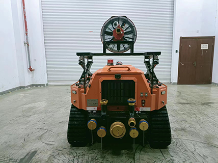 美女的隐藏部位是什么图片