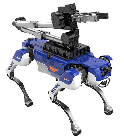 美女的隐藏部位是什么图片