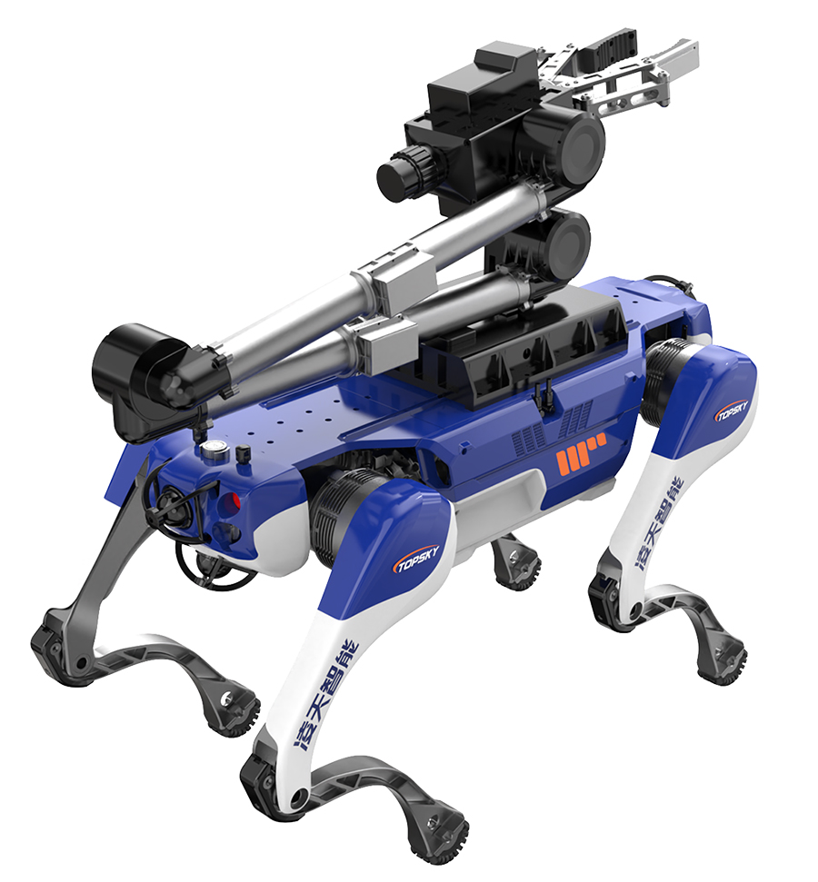 美女的隐藏部位是什么图片