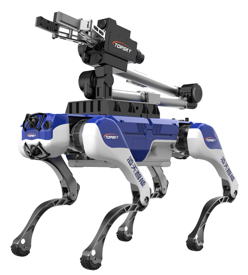 美女的隐藏部位是什么图片