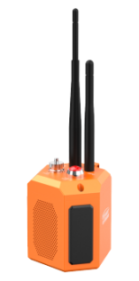 美女的隐藏部位是什么图片