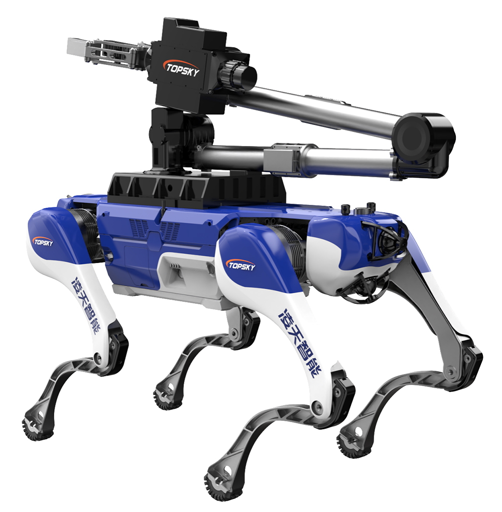 美女的隐藏部位是什么图片