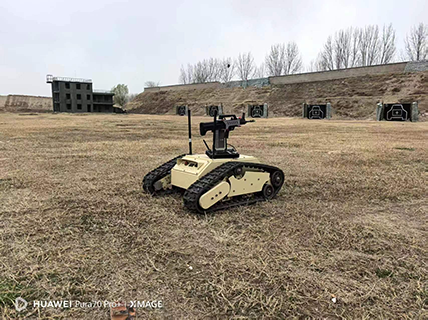 美女的隐藏部位是什么图片