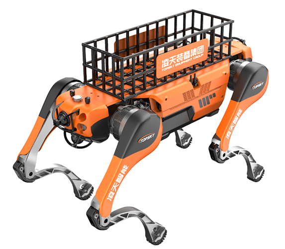 美女的隐藏部位是什么图片