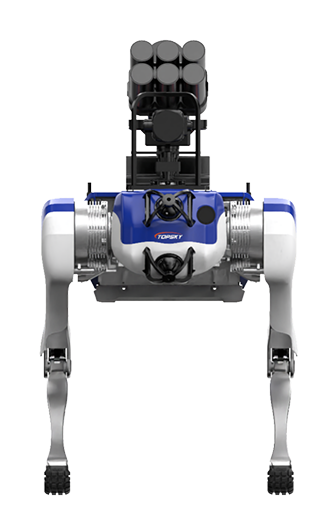 美女的隐藏部位是什么图片