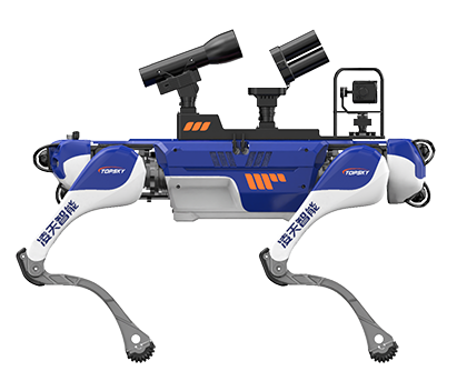 美女的隐藏部位是什么图片