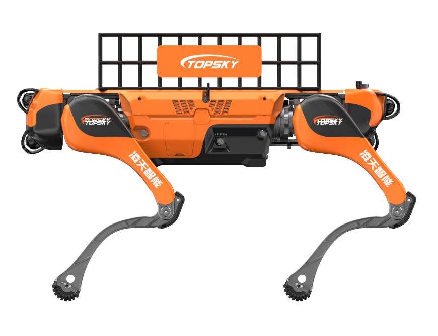 美女的隐藏部位是什么图片