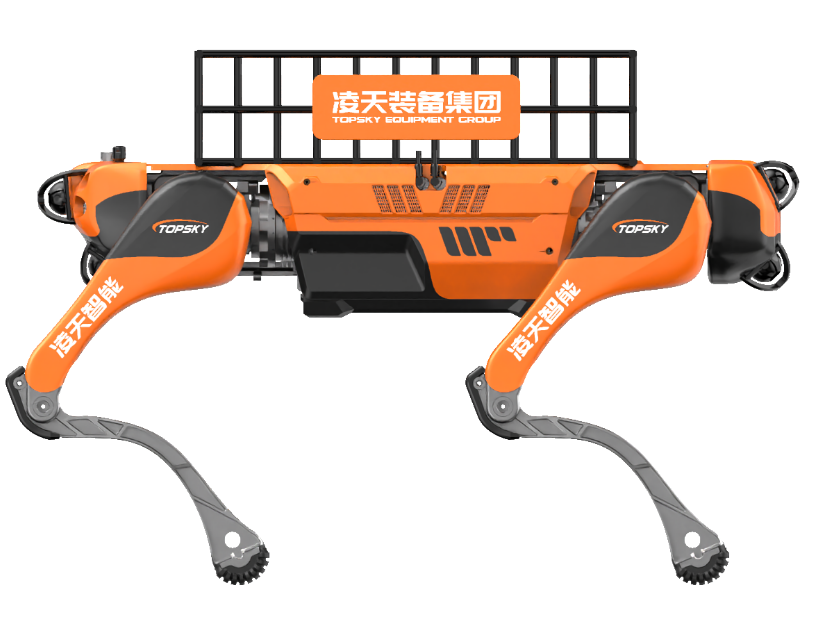 美女的隐藏部位是什么图片