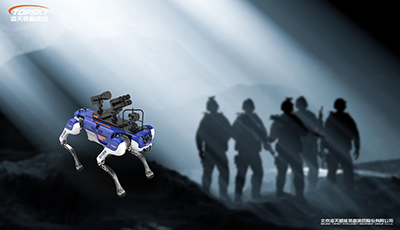 美女的隐藏部位是什么图片