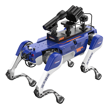 美女的隐藏部位是什么图片