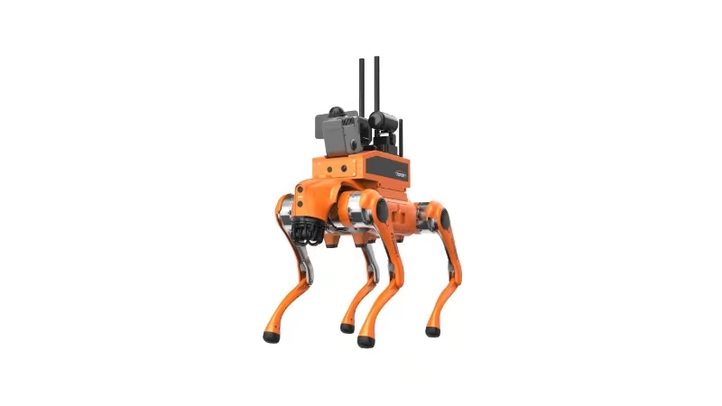 美女的隐藏部位是什么图片