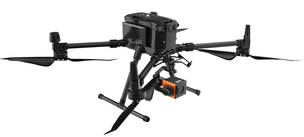 美女的隐藏部位是什么图片