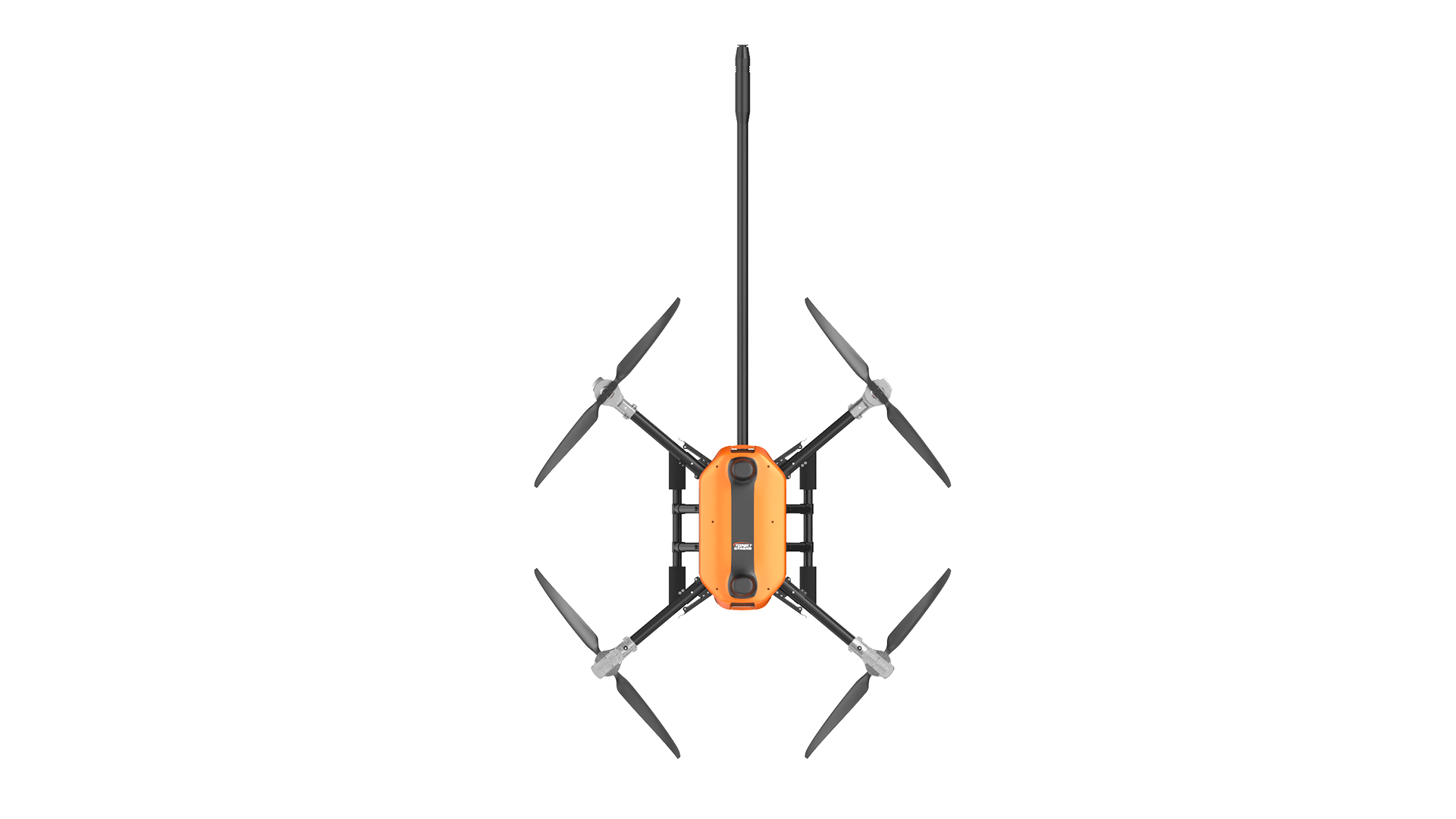 美女的隐藏部位是什么图片