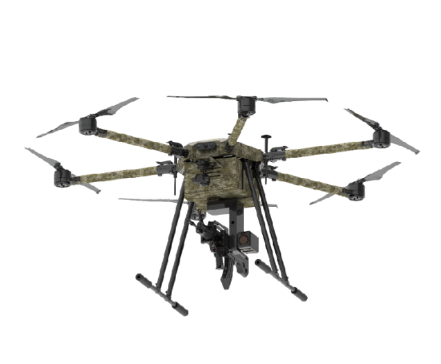 美女的隐藏部位是什么图片