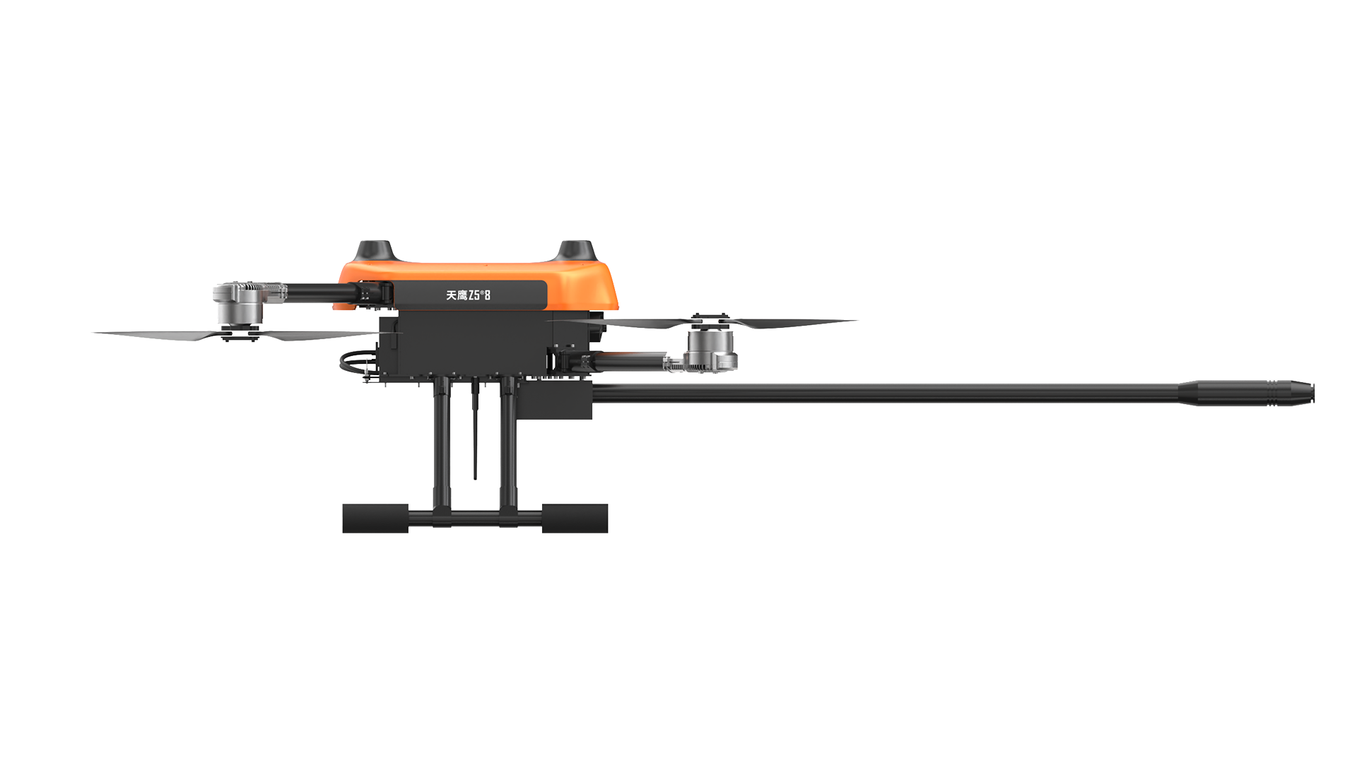 美女的隐藏部位是什么图片