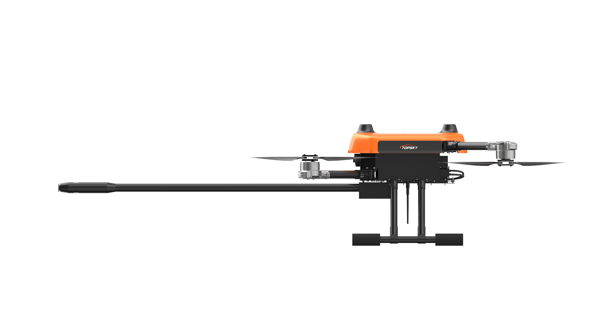 美女的隐藏部位是什么图片