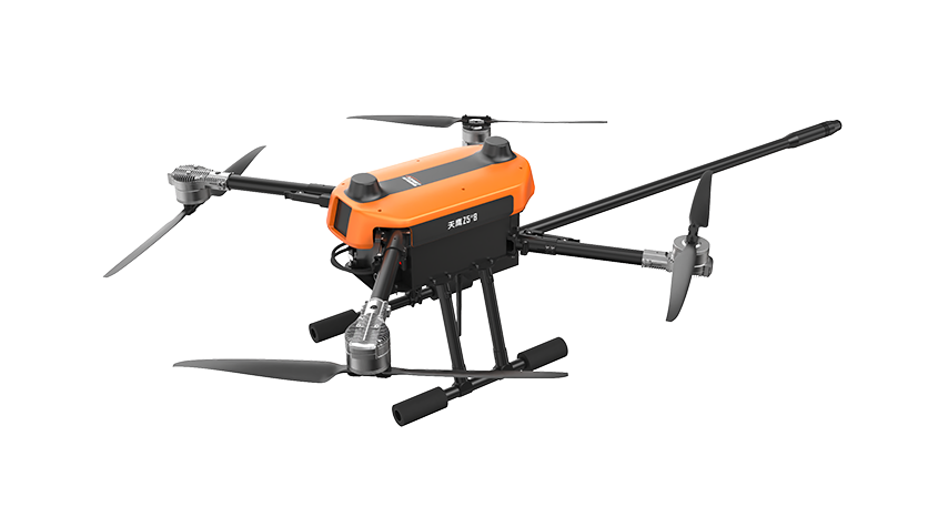 美女的隐藏部位是什么图片