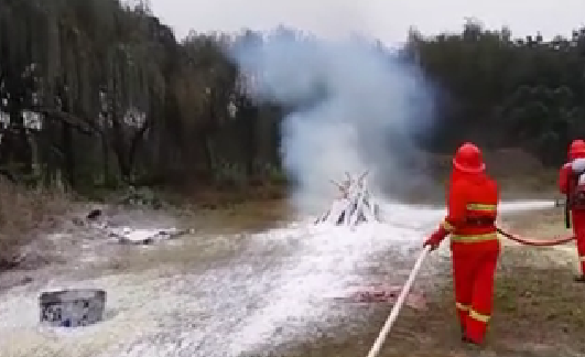 美女的隐藏部位是什么图片