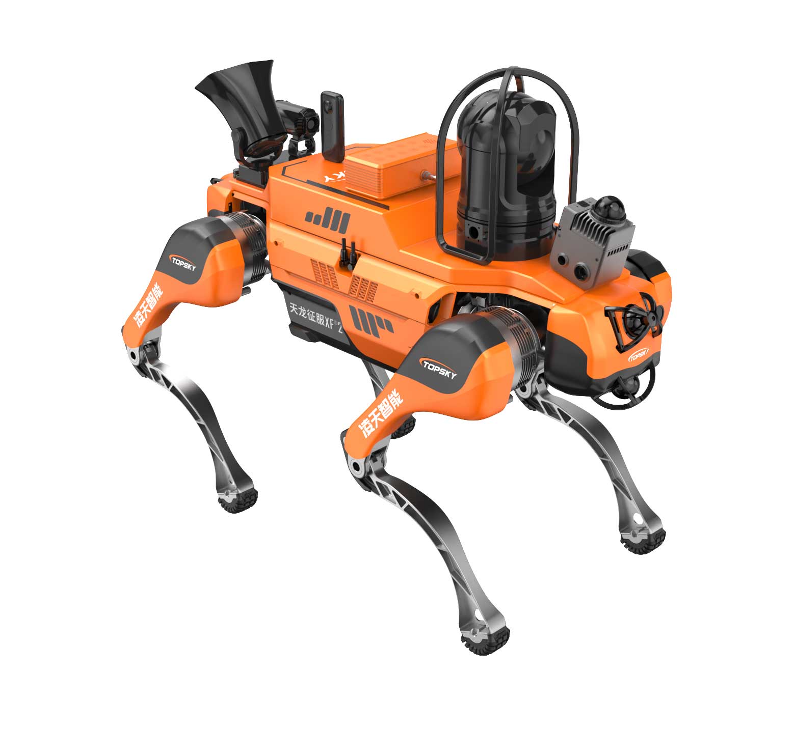 美女的隐藏部位是什么图片