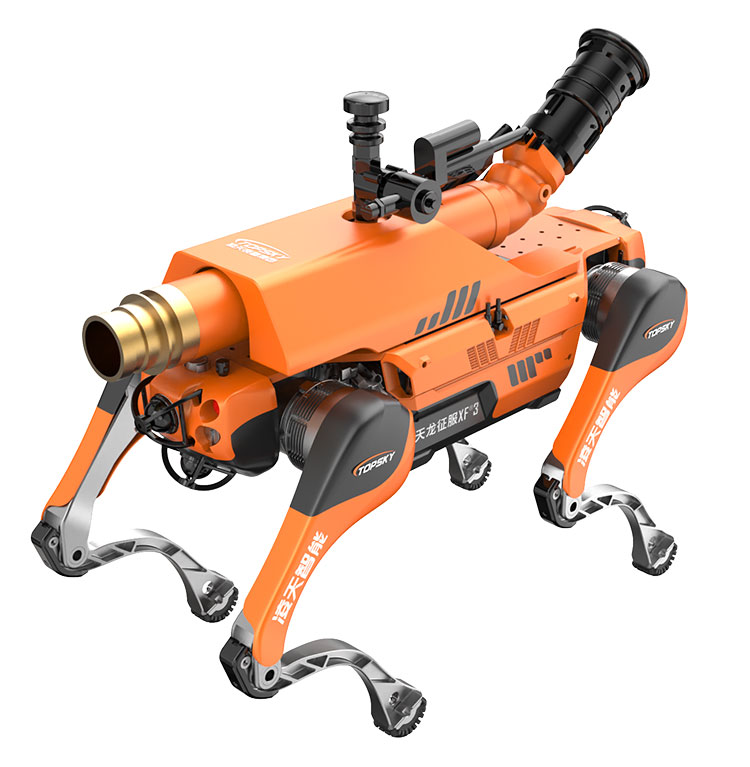 美女的隐藏部位是什么图片