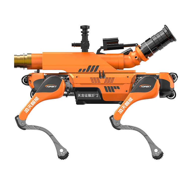 美女的隐藏部位是什么图片