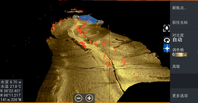 美女的隐藏部位是什么图片