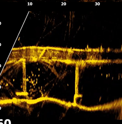 美女的隐藏部位是什么图片