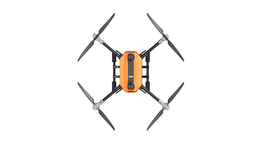 美女的隐藏部位是什么图片