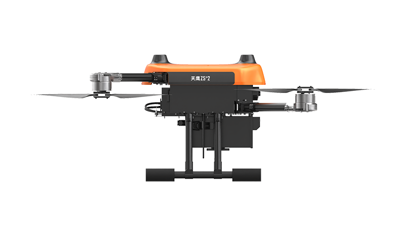 美女的隐藏部位是什么图片