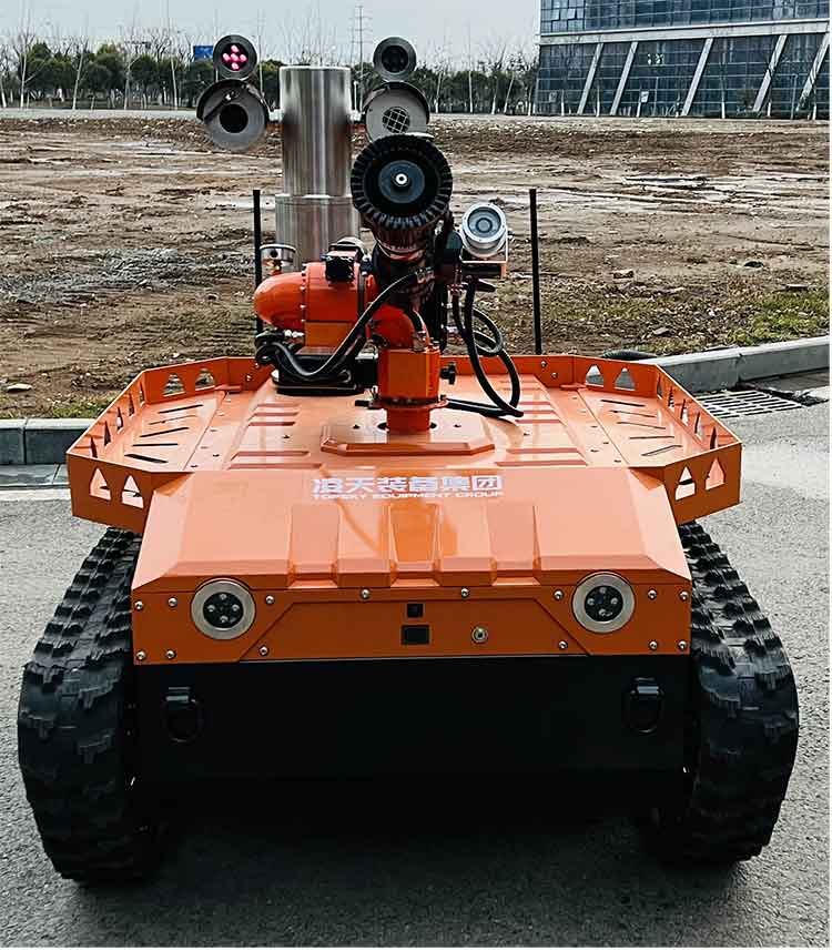 美女的隐藏部位是什么图片