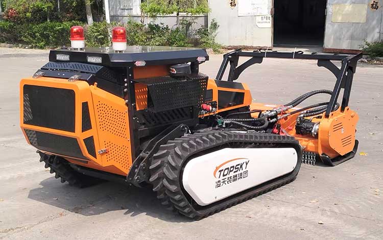 美女的隐藏部位是什么图片