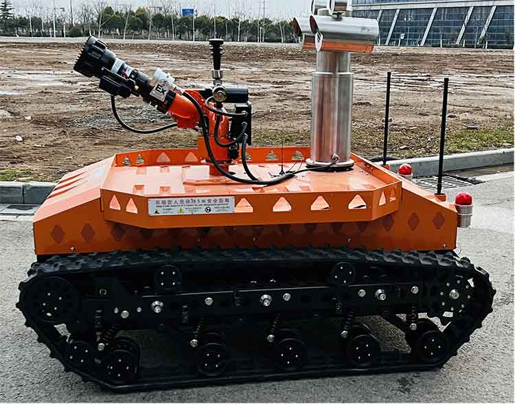 美女的隐藏部位是什么图片