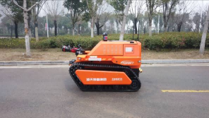 美女的隐藏部位是什么图片