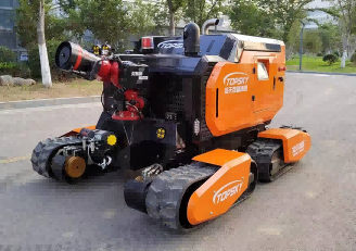 美女的隐藏部位是什么图片