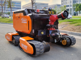 美女的隐藏部位是什么图片