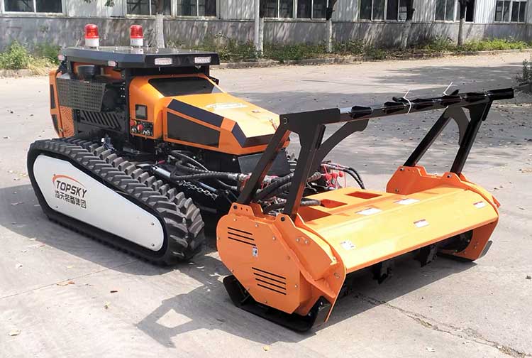 美女的隐藏部位是什么图片