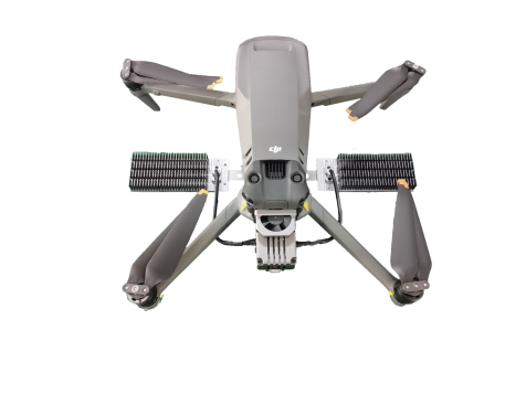 美女的隐藏部位是什么图片