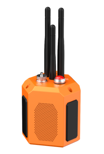 美女的隐藏部位是什么图片