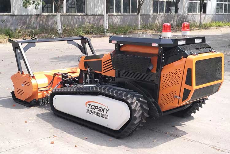 美女的隐藏部位是什么图片