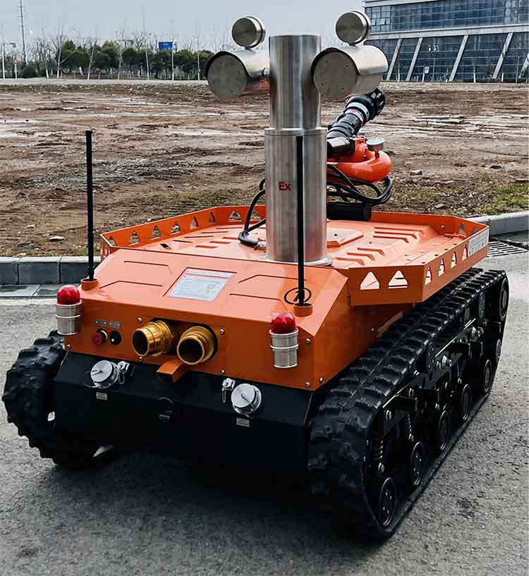 美女的隐藏部位是什么图片