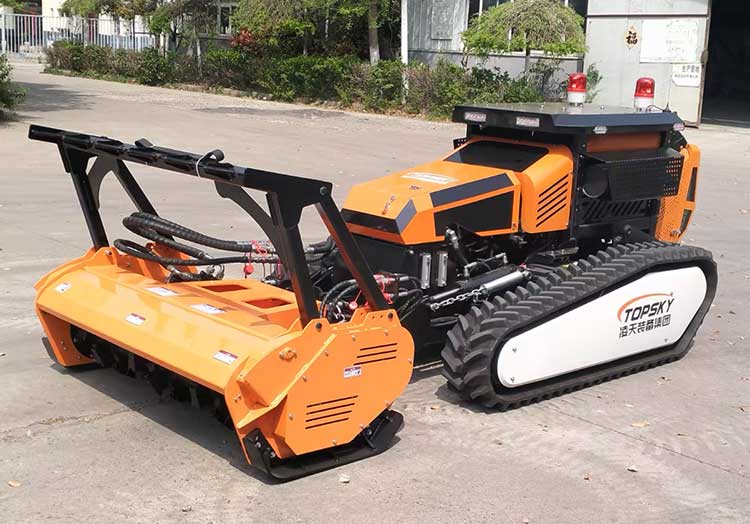 美女的隐藏部位是什么图片