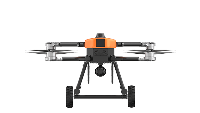 美女的隐藏部位是什么图片