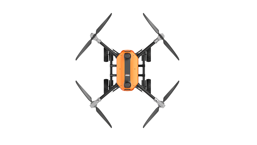 美女的隐藏部位是什么图片