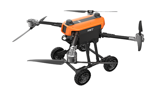 美女的隐藏部位是什么图片